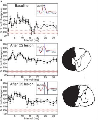 A Re-evaluation of Whether Non-monosynaptic Homonymous H Reflex Facilitation Tests Propriospinal Circuits